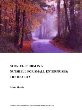 STRATEGIC HRM IN A NUTSHELL FOR SMALL ENTERPRISES: 'THE REALITY